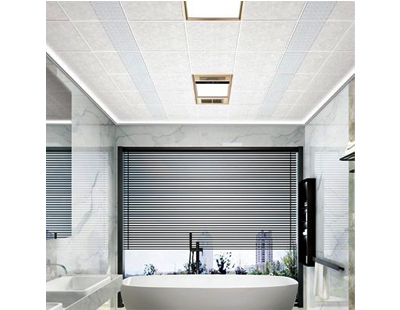 Indoor aluminum veneer ceiling and curtain wall