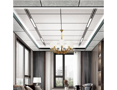 Indoor aluminum veneer ceiling and curtain wall
